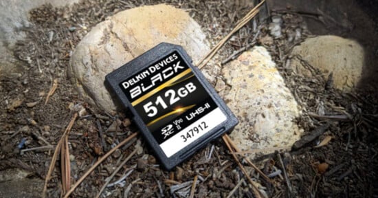 A 512GB Delkin Devices BLACK SD memory card lies on soil and dried pine needles next to two rocks. The card’s label displays its capacity, SDXC logo, UHS-II speed class, and a serial number.