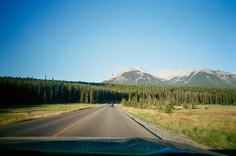 A scenic view from a car driving on a road bordered by grass and dense pine trees, with mountains in the background under a clear blue sky.