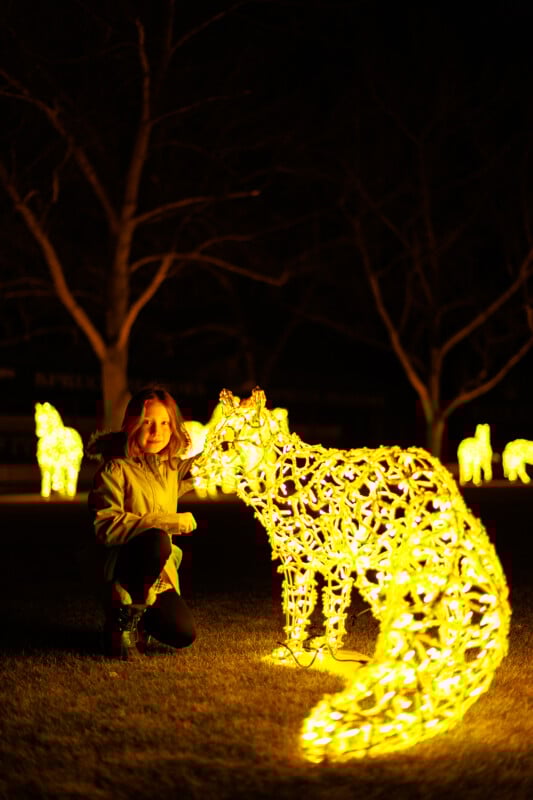 Una niña sonríe mientras se arrodilla junto a una escultura de luz brillante con forma de zorro al aire libre por la noche, con más figuras de animales brillantes visibles en el fondo.