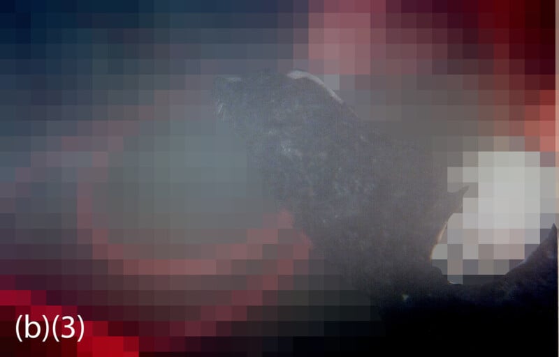 Una imagen muy pixelada con un tinte rojo oscuro que muestra una criatura vaga, posiblemente acuática, en el centro. Hay el texto 