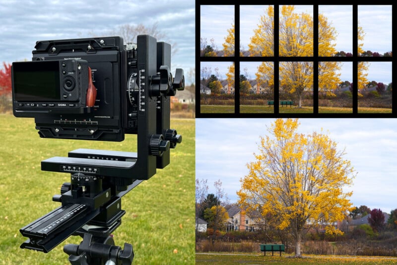 A camera on a tripod faces a tree with yellow leaves. To the right, two images show the tree: one divided into a 3x3 grid and one as a complete photo. Houses and grass appear in the background.