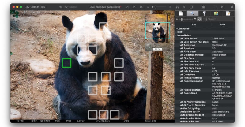 A photo of a giant panda sitting on the ground is open in editing software. Autofocus points are highlighted over the panda, and settings are displayed on the right side of the screen.