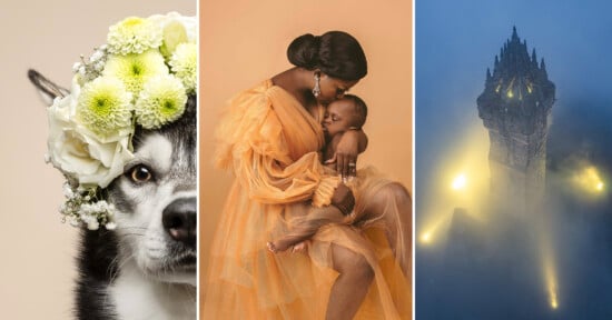 A collage with three images: a husky wearing a flower crown, a woman in an orange dress holding a baby against a peach background, and a tall, foggy tower illuminated by lights at night.