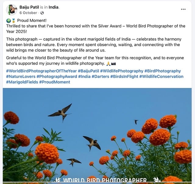 A group of birds flies above vibrant orange marigold flowers under a blue sky. The image is part of a Facebook post celebrating a Silver Award in the World Bird Photographer of the Year contest.