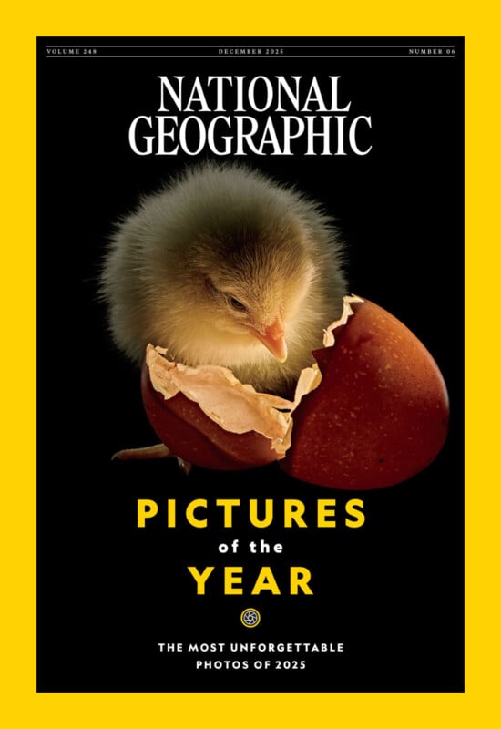 Portada de la revista National Geographic con un polluelo emergiendo de una cáscara de huevo agrietada sobre un fondo negro con texto "foto del año" y "Las fotos más memorables de 2025.