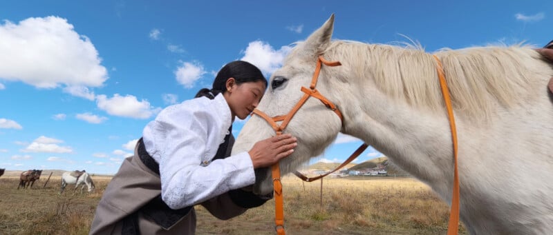 En un campo abierto, un hombre vestido con ropa tradicional presionó suavemente su frente contra la cara de un caballo blanco, con el cielo azul y nubes blancas sobre su cabeza. Otros caballos pastan al fondo.