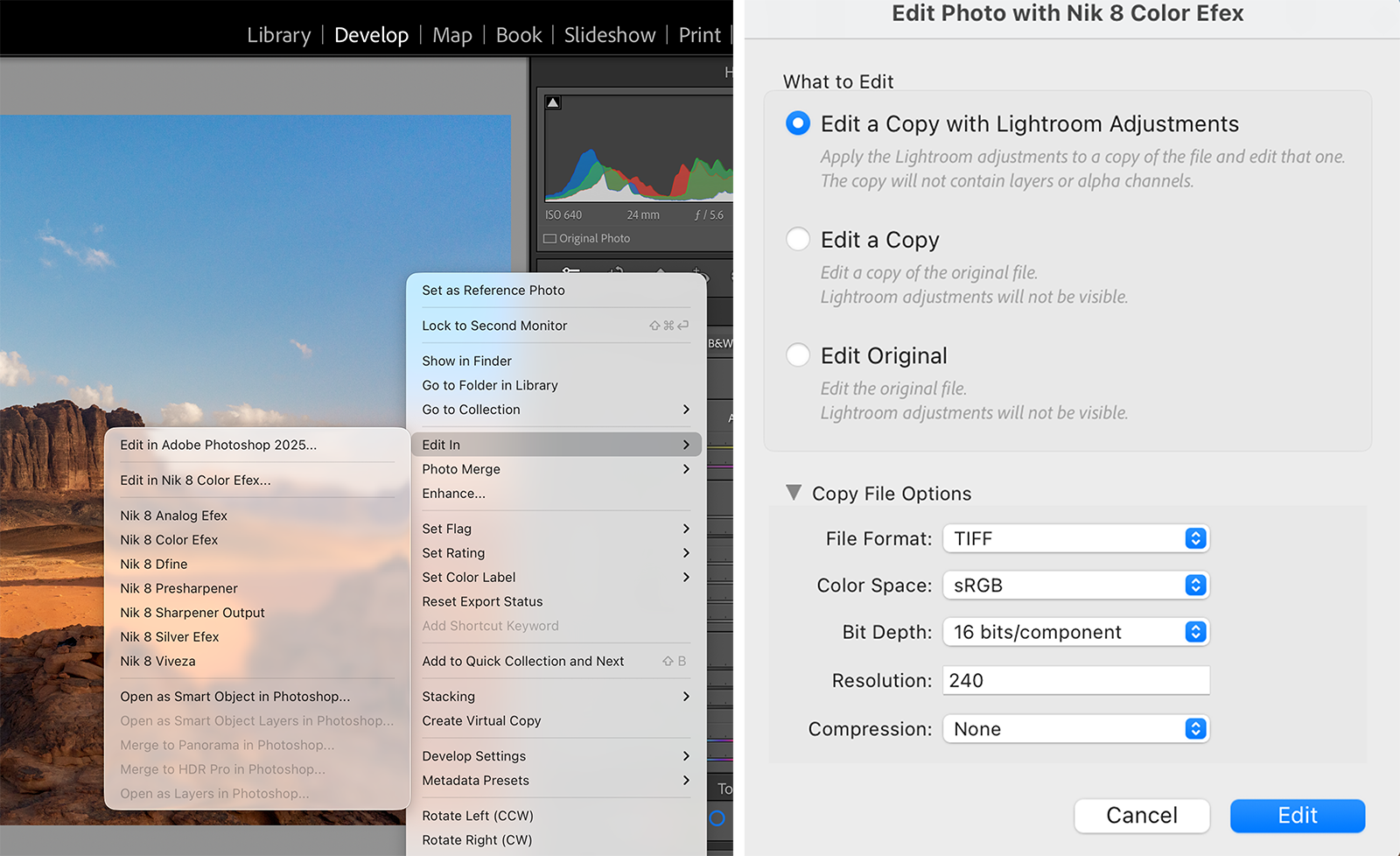 Nik Collection 8: The Ultimate Beginner's Guide to Color Efex | PetaPixel
