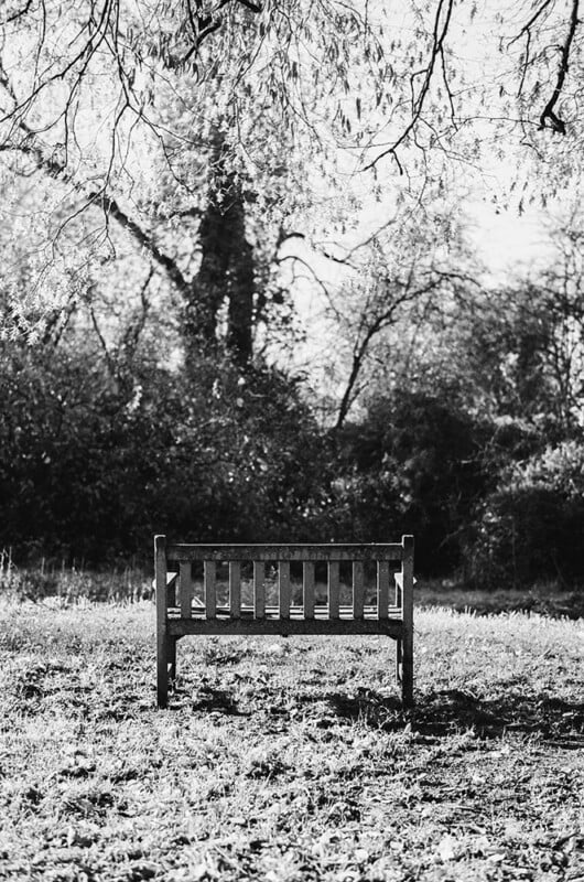 A black and white photo of an empty wooden bench standing on grass, with trees and bushes in the background and overhanging branches above.