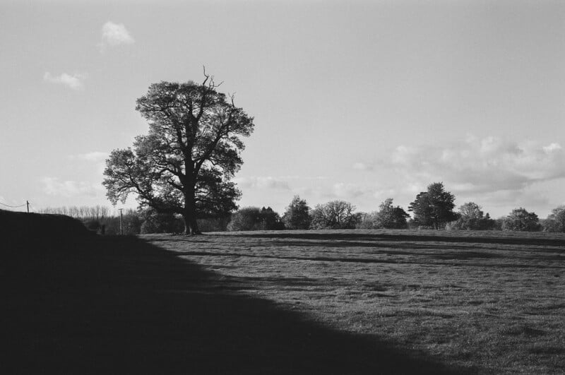 A large tree stands in an open grassy field, casting a long shadow. Other trees and bushes are scattered in the distance under a partly cloudy sky. The scene is in black and white.