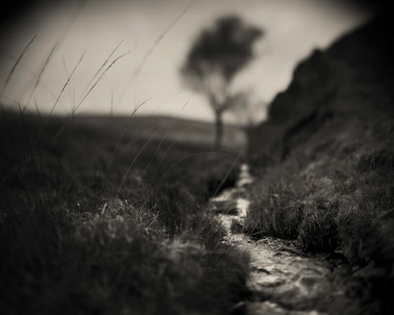 Un estrecho arroyo fluye a través del prado hacia un árbol vago en la distancia. La imagen está en blanco y negro, lo que crea una escena atmosférica y de mal humor con un enfoque suave y una iluminación tenue.