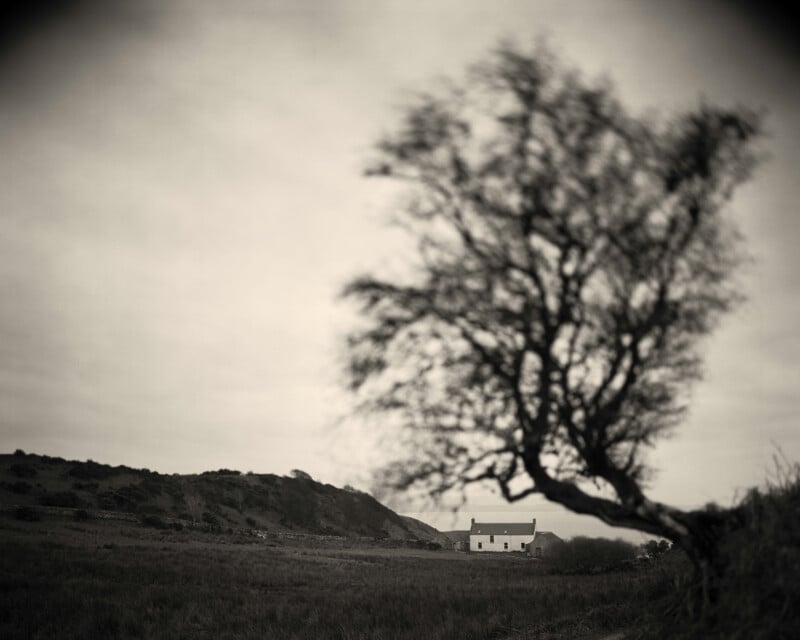 Una fotografía en blanco y negro muestra una casa solitaria a lo lejos, rodeada de campos abiertos y colinas bajas. Un árbol grande y borroso domina el primer plano y sus ramas crean un dramático efecto de ensueño.