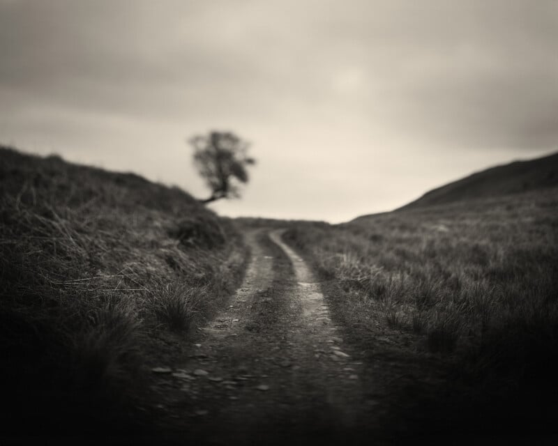 Bajo un cielo nublado, un sinuoso camino de tierra atraviesa una colina cubierta de hierba, con un árbol en la distancia. La imagen es en blanco y negro con un enfoque suave y borroso en los bordes.