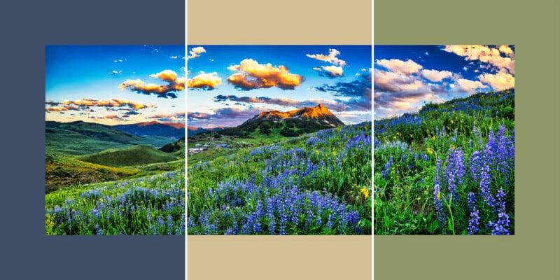 A vibrant mountain landscape with purple wildflowers on a hillside, under a blue sky with scattered clouds, divided by white lines and bordered by blue, tan, and green vertical color blocks.