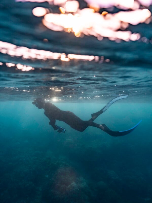 Un hombre vestido con un traje de neopreno y aletas bucea cerca de la superficie del océano, con la luz del sol filtrándose a través del agua y un arrecife de coral visible debajo.