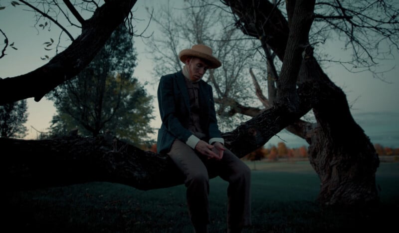 A person in old-fashioned clothing and a straw hat sits on a large tree branch in a park at dusk, looking down pensively. The trees are bare, and the background shows a grassy field and distant autumn foliage.