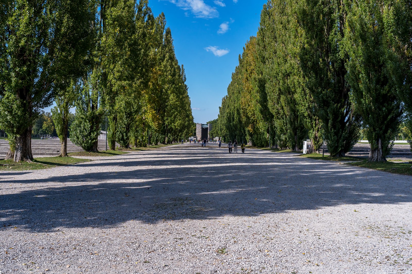 A wide gravel pathway lined with tall, leafy trees on both sides under a blue sky, with a few people walking in the distance. Shadows from the trees stretch across the ground.