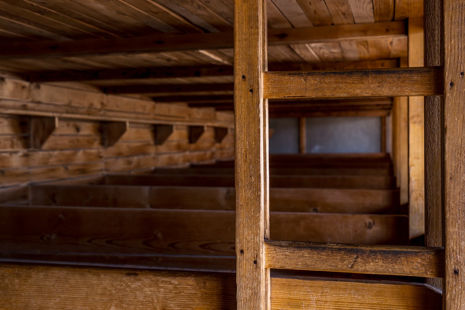 Wooden bunk beds arranged in rows inside a rustic room. The perspective shows the frames and a vertical ladder, highlighting the aged wooden texture and natural light coming in from one side.