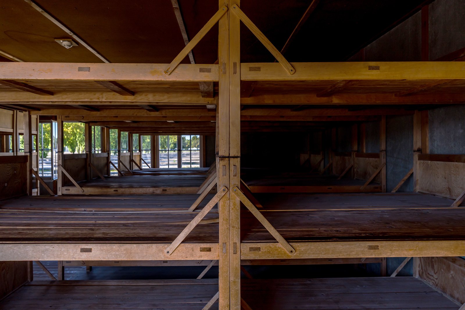 Interior of a wooden barracks building with rows of empty, multi-level bunk beds, lit by sunlight streaming through large windows on one side.