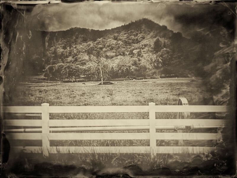 Fotografía en tonos sepia de un prado con una valla de madera al frente y animales pastando, árboles y colinas boscosas al fondo. La imagen tiene un aspecto antiguo y descolorido.