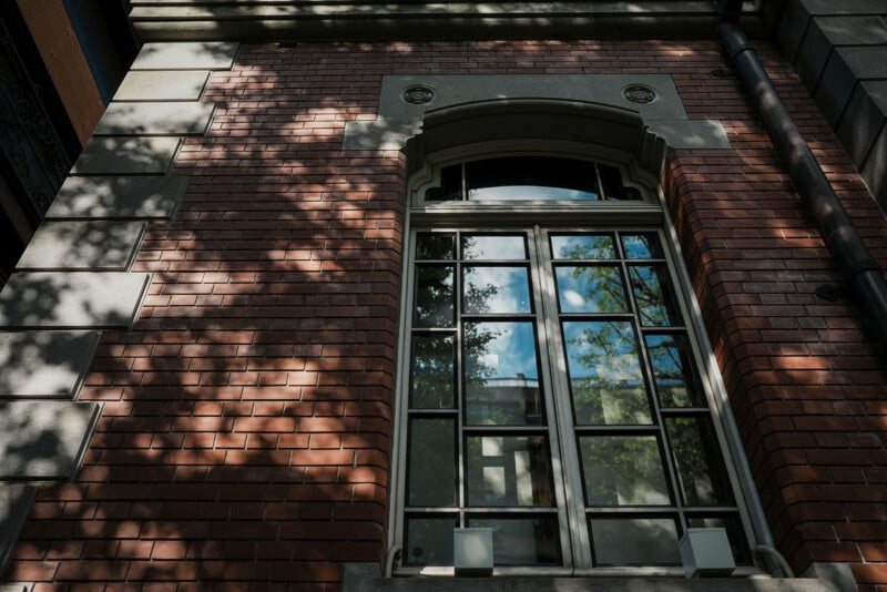 A large window with black grid frames is set in a red brick wall, reflecting trees and blue sky. Sunlight casts leafy shadows across the building’s facade.