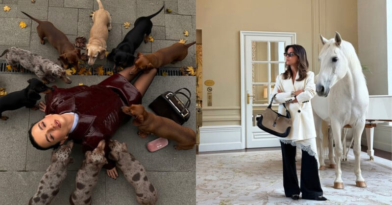 Una mujer yace en el suelo, rodeada por varios perros salchicha a la izquierda; a la derecha, una mujer con una bata blanca está parada en el interior, con una bolsa en la mano y un caballo blanco a su lado.