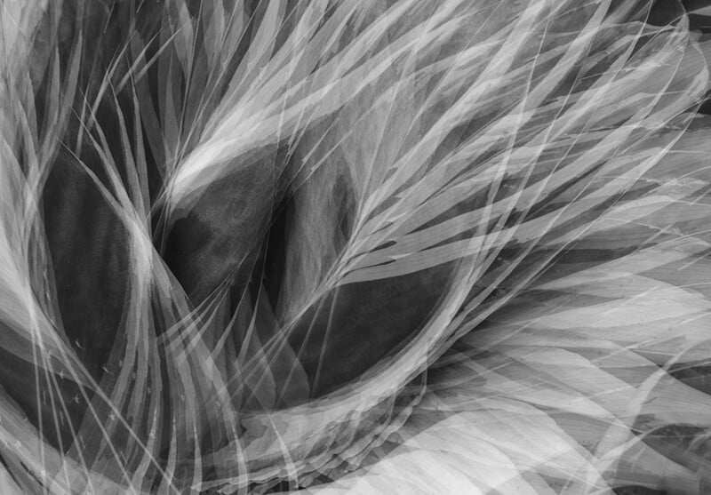 Abstract black-and-white image featuring layered, feathery, and translucent shapes radiating from a dark central point, creating a sense of flowing motion and depth.