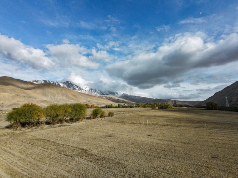 Una amplia vista de pastizales secos salpicados de árboles verdes y distantes montañas nevadas recortadas contra un cielo azul parcialmente nublado.