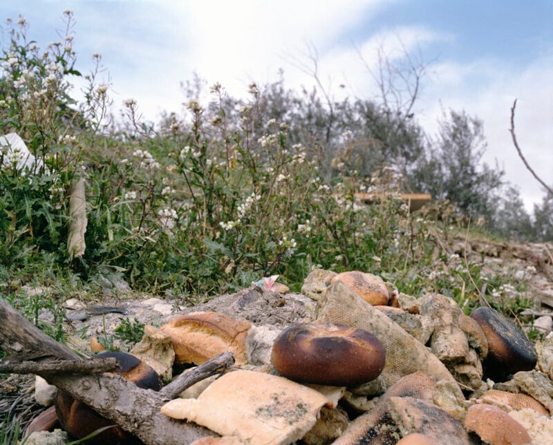 Varios trozos de pan quemados y desechados yacen entre rocas y escombros, sobre un fondo de flores silvestres y arbustos bajo un cielo nublado.