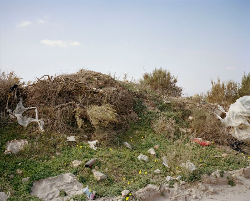 Bajo un cielo despejado, un montón de plantas secas, basura plástica y otra basura están esparcidas sobre la hierba verde, con pequeñas flores amarillas floreciendo en la hierba. Los arbustos crecen al fondo.
