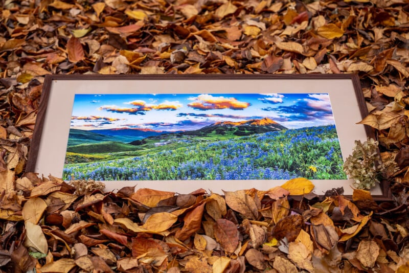 A framed landscape photograph of green hills and wildflowers lies on the ground, surrounded by fallen autumn leaves, blending vibrant spring scenery with the earthy tones of fall.