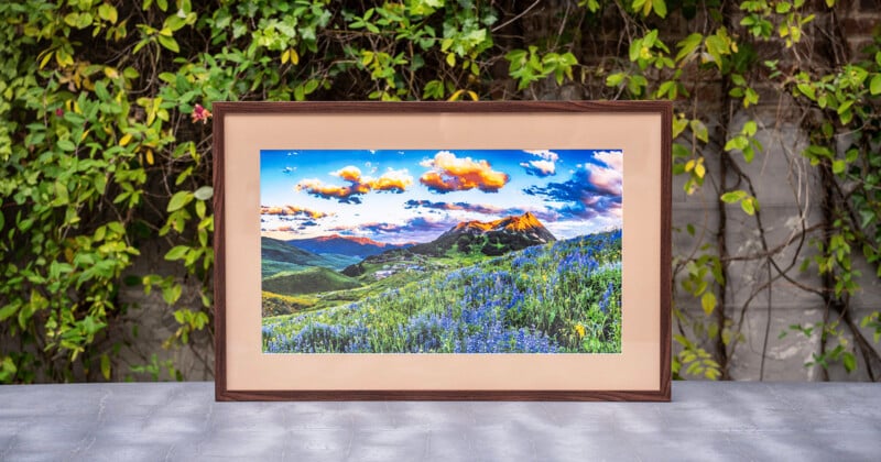 A framed landscape photograph of a mountain scene with wildflowers is displayed on a gray stone surface, in front of a leafy green vine-covered wall.