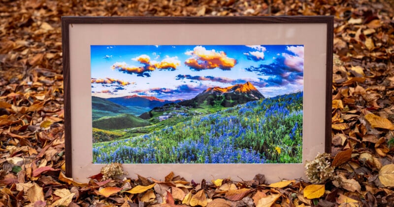 A framed photo of a vibrant mountain landscape with wildflowers sits on the ground, surrounded by dry autumn leaves. The scene in the frame features colorful clouds, green hills, and purple-blue flowers.