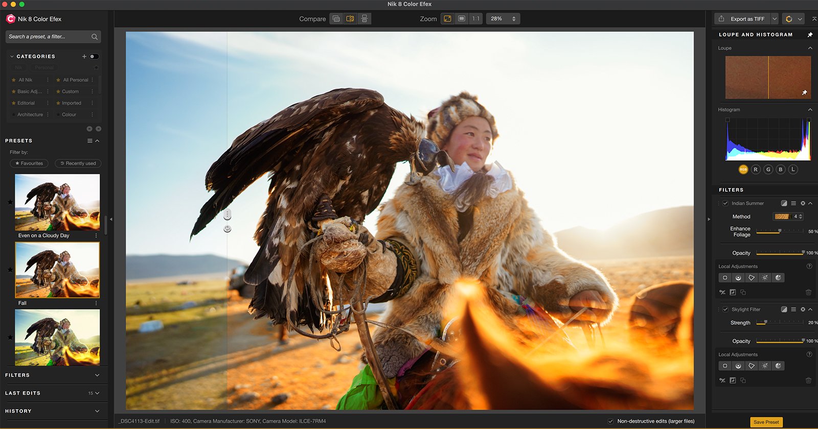 A person in traditional attire holds a large bird of prey, possibly an eagle, on their gloved arm in a sunlit outdoor setting, with image editing software interface visible on screen.