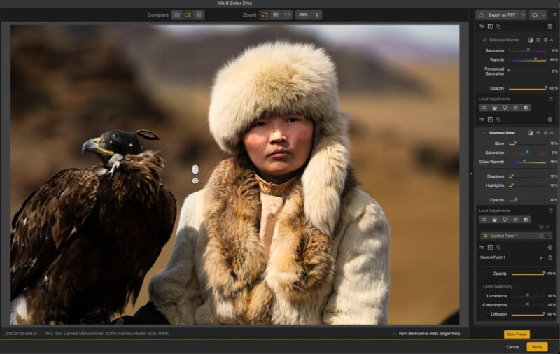 A person wearing a fur hat and coat stands outdoors beside a perched golden eagle, with blurred mountains in the background. The image is displayed on a photo editing software screen.