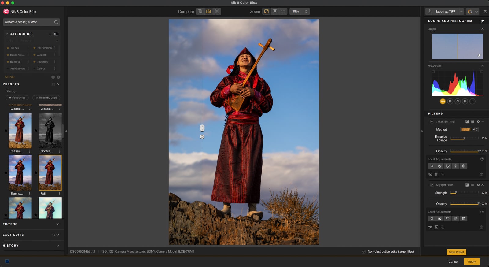 Nik Collection 8: The Ultimate Beginner's Guide to Color Efex | PetaPixel