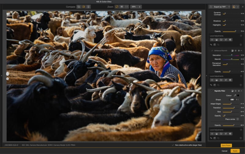 An elderly woman in a blue headscarf stands among a dense herd of goats, surrounded by animals with long horns, in a photo editing software interface.