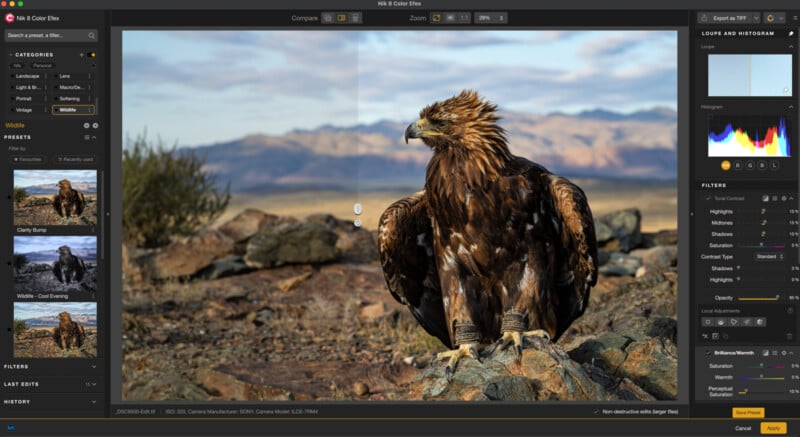 A large brown eagle sits on rocky ground in a mountainous landscape. The image is open in photo editing software, with editing tools and a histogram visible around the photo.