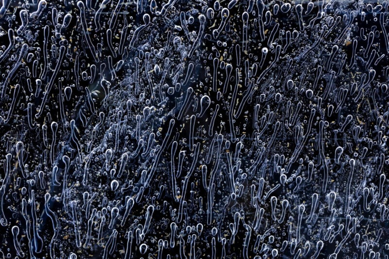 Close-up of irregular, elongated bubbles and droplets suspended in a dark translucent material, resembling abstract patterns or frozen liquid on glass. The background is mostly black with light blue highlights around the shapes.