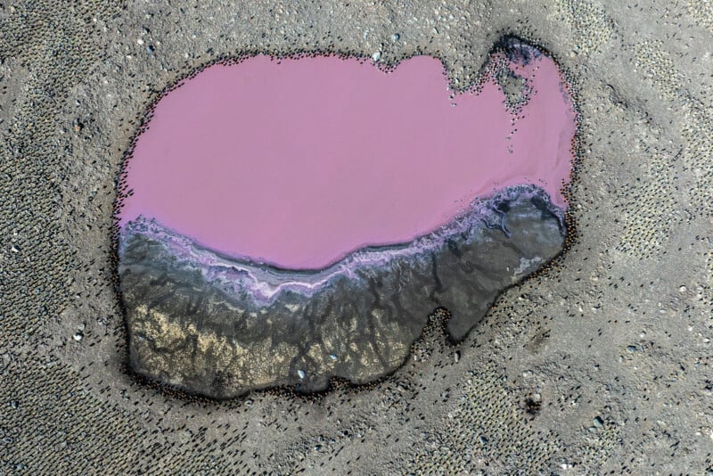 Aerial view of a small, irregularly-shaped pink pond surrounded by dark and light gray sediment patterns on a rough, sandy surface.
