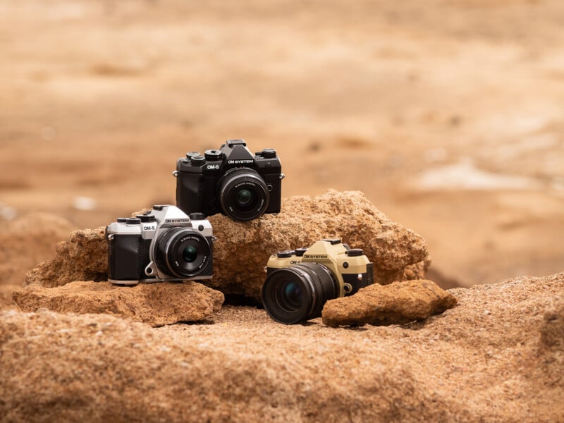 Three Olympus OM-D cameras in silver, black, and gold rest on sandy brown rocks in an outdoor, desert-like setting.