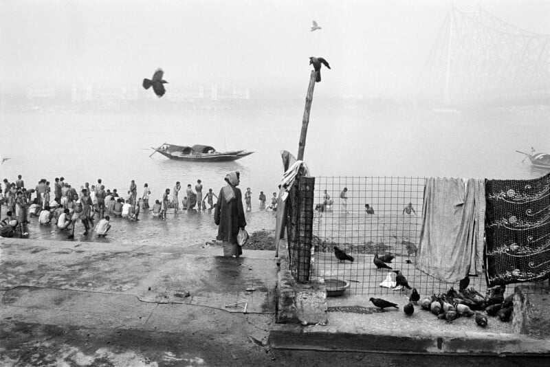 A foggy riverside scene with people bathing in the water, boats floating nearby, pigeons gathered on the ground and a fence, and laundry hanging to dry. A large bridge is faintly visible in the background.