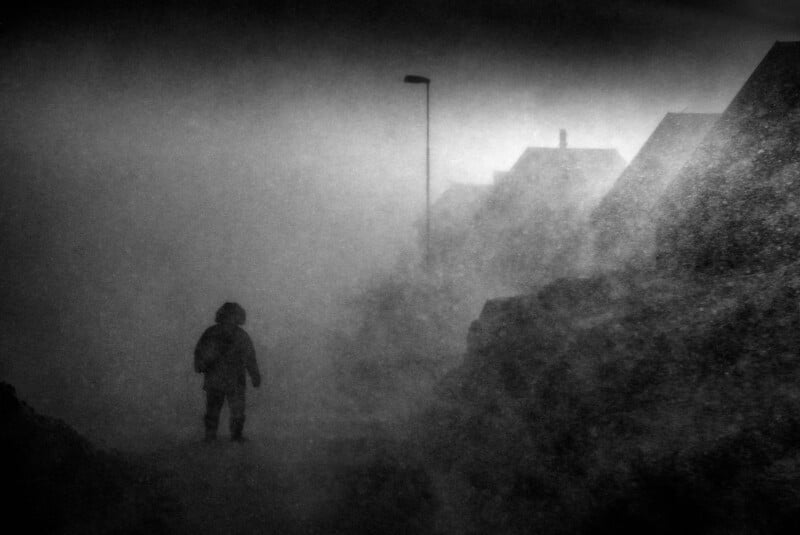 A solitary person in a coat walks through a foggy, windswept street lined with houses; streetlights and rooftops are obscured by heavy mist and blowing debris, creating a dark, mysterious atmosphere.