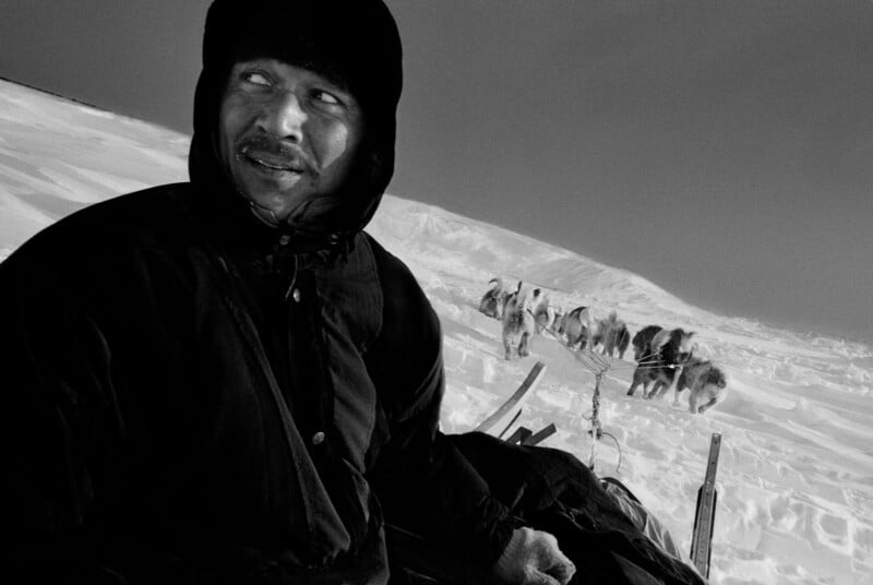 A person in a heavy coat and hood looks to the side while sitting on a snowy landscape, with a team of sled dogs harnessed and standing in the snow behind them. The image is in black and white.