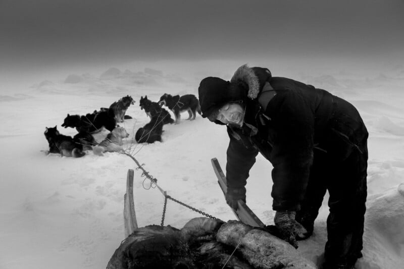 A person in heavy winter clothing stands near a sled, adjusting gear, with a team of sled dogs resting on snow-covered ground in a foggy, frozen landscape.