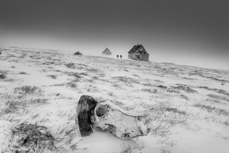 A black and white photo shows a snowy, windswept landscape with an animal skull in the foreground and two small houses in the distance. Two people walk toward the houses under a dark, overcast sky.