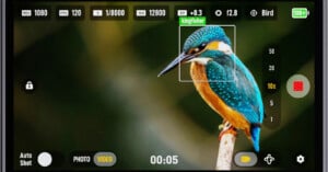 A digital camera interface displays a vibrant kingfisher perched on a branch, with focus, zoom, and camera settings visible, including resolution, frame rate, ISO, and aperture.