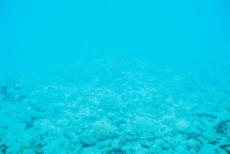 Clear blue underwater scene showing a sunlit coral reef with sparse coral growth on the ocean floor, viewed through water, giving a tranquil and slightly hazy effect.