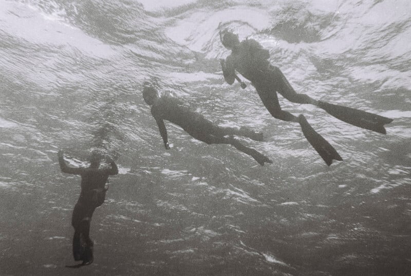 Three people in snorkel gear swim underwater near the ocean surface, with sunlight filtering through the water above them. The image is in black and white and viewed from below.