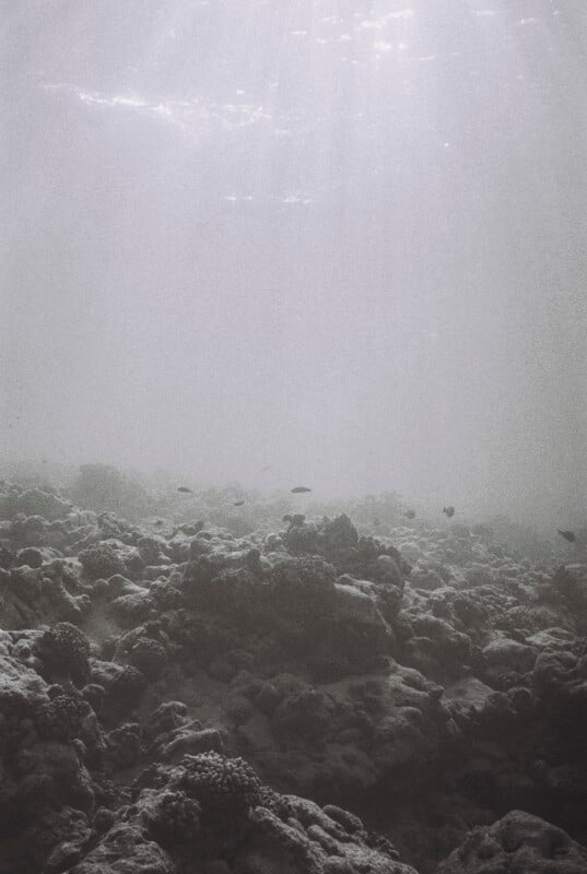 Sunlight streams down through the water, illuminating a rocky, coral-covered ocean floor with a few small fish swimming near the bottom. The scene is calm and slightly hazy, creating a muted, tranquil underwater atmosphere.