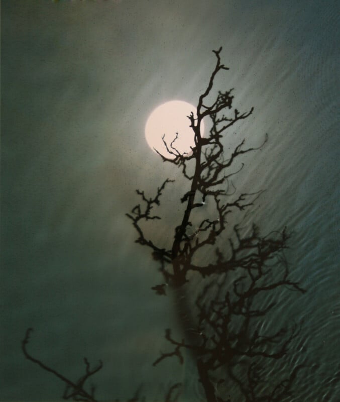 A silhouette of a leafless, twisted tree branch set against a bright full moon in a hazy, dark sky, creating a dramatic and moody scene.